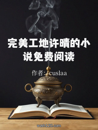 完美工地许晴的小说免费阅读