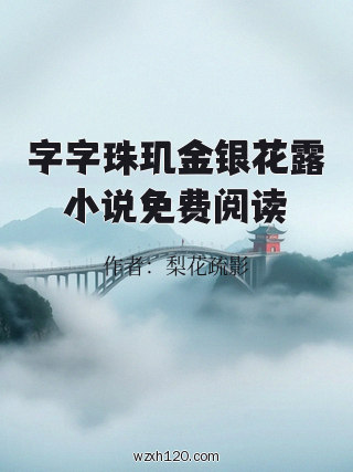 字字珠玑金银花露小说免费阅读
