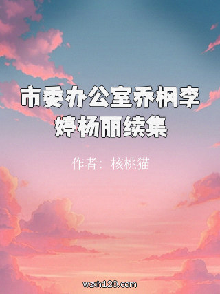 市委办公室乔枫李婷杨丽续集