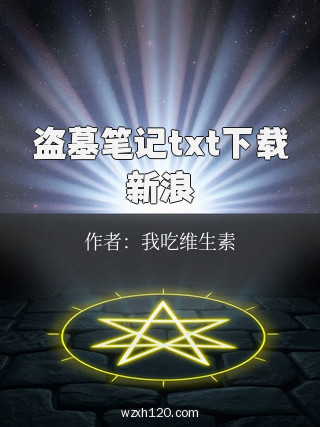 盗墓笔记txt下载新浪