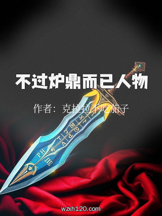 不过炉鼎而已人物