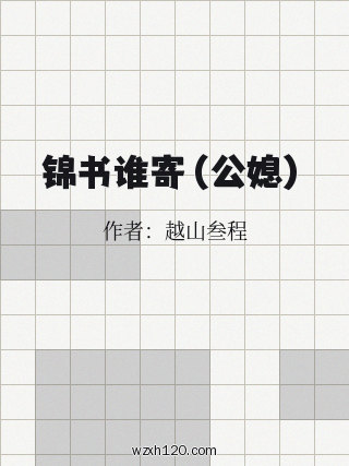 锦书谁寄（公媳）