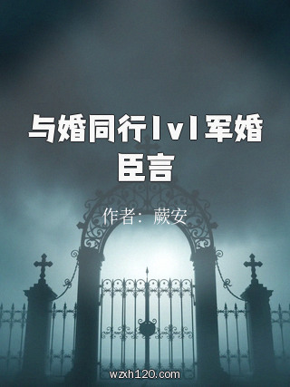 与婚同行1v1军婚臣言