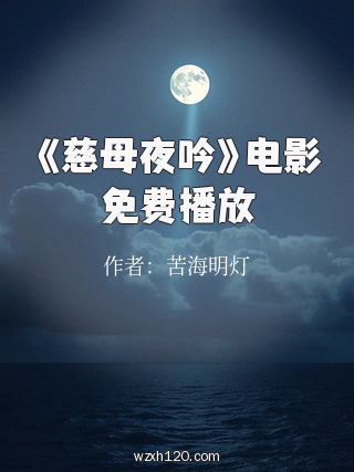 《慈母夜吟》电影免费播放