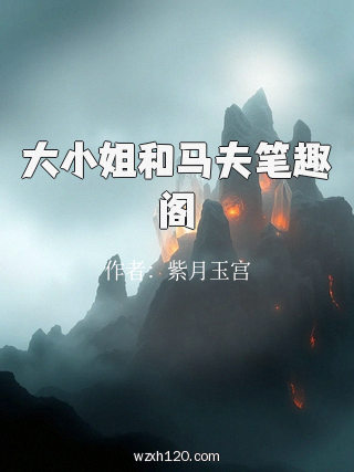 大小姐和马夫笔趣阁