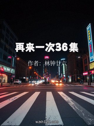 再来一次36集