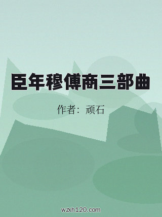 臣年穆傅商三部曲