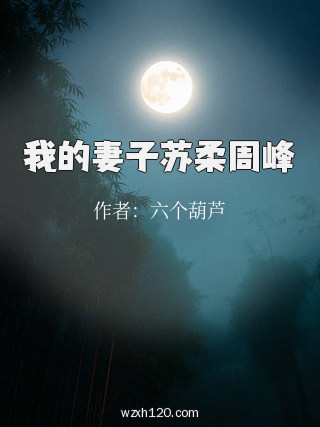 我的妻子苏柔周峰