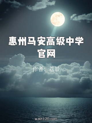 惠州马安高级中学官网