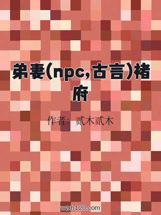 弟妻(npc,古言)褚府