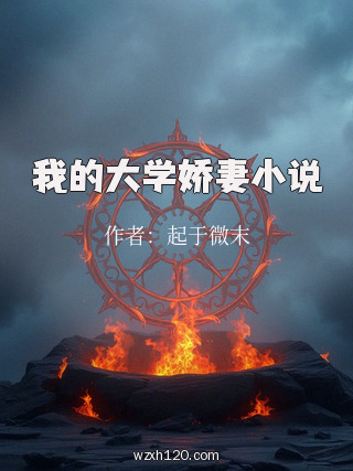我的大学娇妻小说