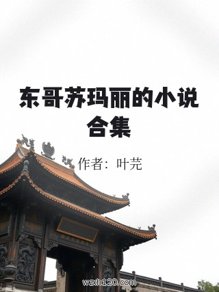 东哥苏玛丽的小说合集