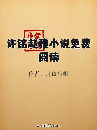 许铭赵雅小说免费阅读