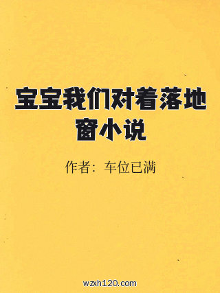 宝宝我们对着落地窗小说