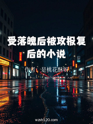 受落魄后被攻报复后的小说