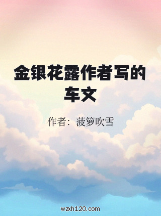 金银花露作者写的车文