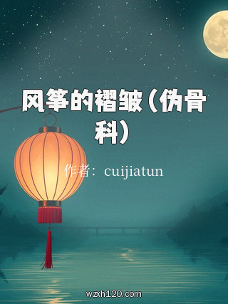 风筝的褶皱（伪骨科）