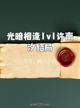 光暗相逢1v1许南汐结局