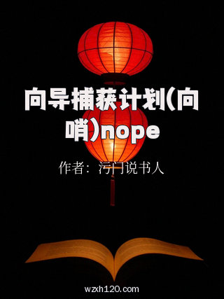 向导捕获计划(向哨)nope