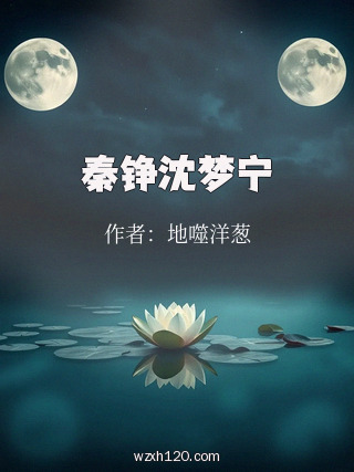 秦铮沈梦宁