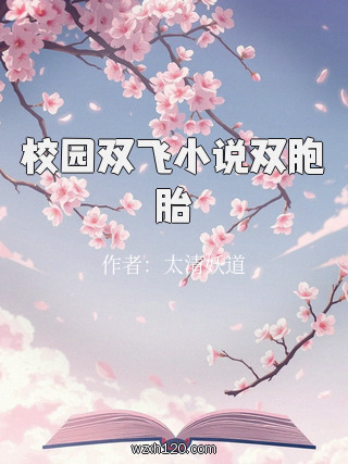 校园双飞小说双胞胎