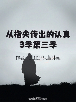 从指尖传出的认真3季第三季