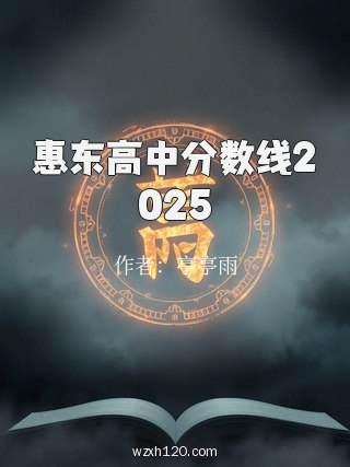 惠东高中分数线2025