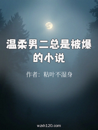 温柔男二总是被爆的小说
