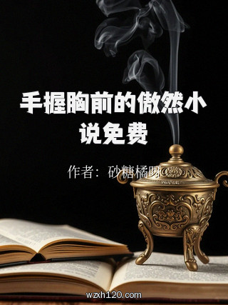 手握胸前的傲然小说免费