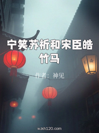 宁笑苏祈和宋臣皓竹马