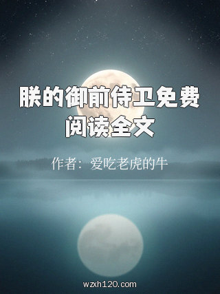 朕的御前侍卫免费阅读全文