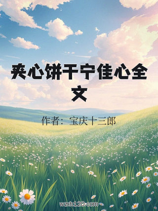 夹心饼干宁佳心全文