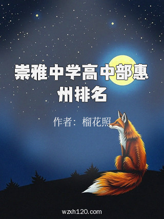 崇雅中学高中部惠州排名