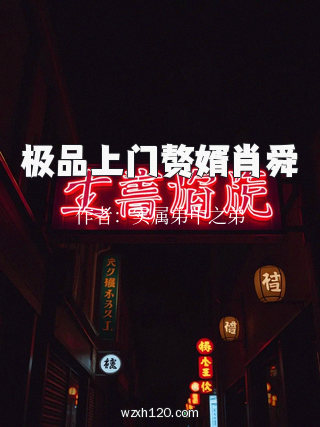 极品上门赘婿肖舜