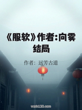 《服软》作者:向雾结局