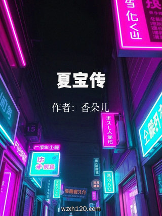 夏宝传