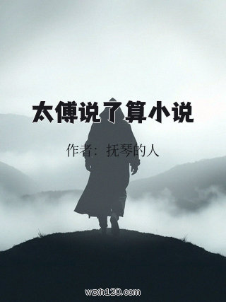 太傅说了算小说