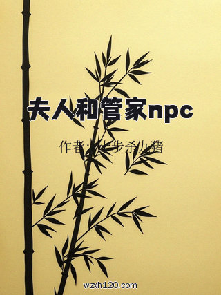 夫人和管家npc