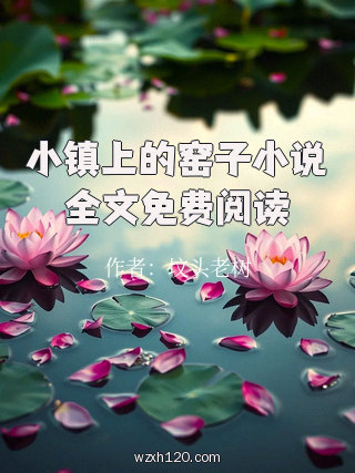 小镇上的窑子小说全文免费阅读
