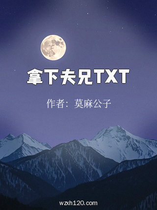 拿下夫兄TXT