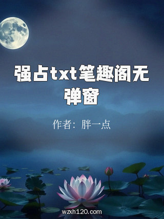 强占txt笔趣阁无弹窗