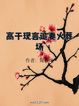 高干现言追妻火葬场