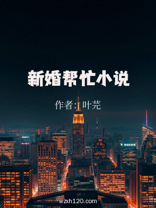 新婚帮忙小说
