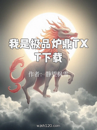 我是极品炉鼎TXT下载