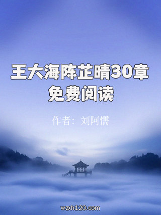 王大海陈芷晴30章免费阅读