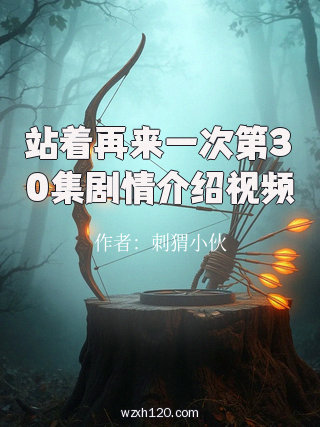 站着再来一次第30集剧情介绍视频