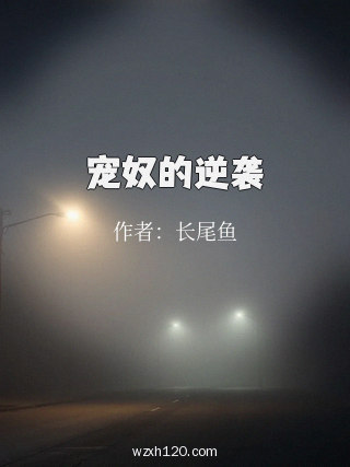 宠奴的逆袭