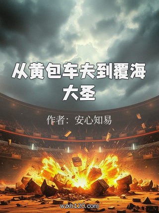 从黄包车夫到覆海大圣