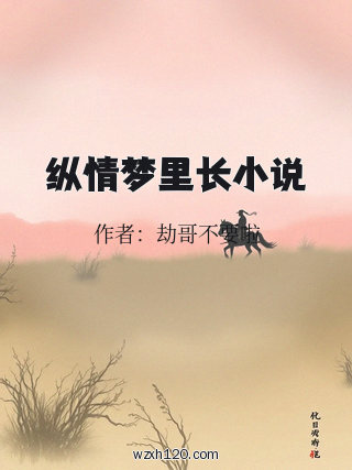 纵情梦里长小说