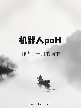 机器人poH